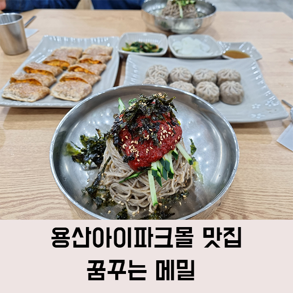  용산아이파크몰 막국수 맛집 꿈꾸는 메밀, 메밀 막국수와 전병의 조화가 좋았던 곳
