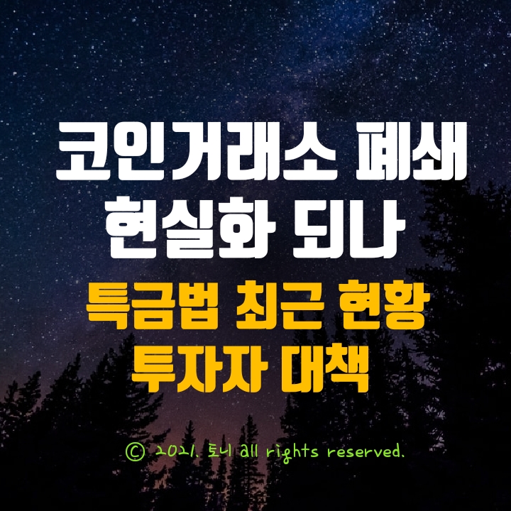 코인거래소 집단 폐쇄 현실화 되나…최근 업계 현황 및 투자자 대책, 특금법 쟁점 코인거래소 집단 폐쇄 현실화 되나…최근 업계 현황 및 투자자 대책, 특금법 쟁점