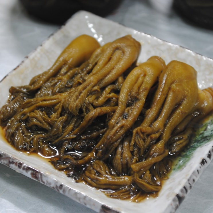 잘나가는 초록사랑 산골짜기 강원도 홍천 두릅장아찌, 1개, 1kg 추천합니다 잘나가는 초록사랑 산골짜기 강원도 홍천 두릅장아찌, 1개, 1kg 추천합니다
