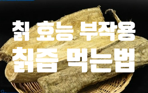  갱년기 당뇨에 좋은 칡 효능 (ft. 부작용, 먹는 법) 칡즙  요리 음식 궁합