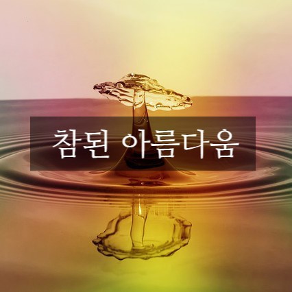 참된 아름다움