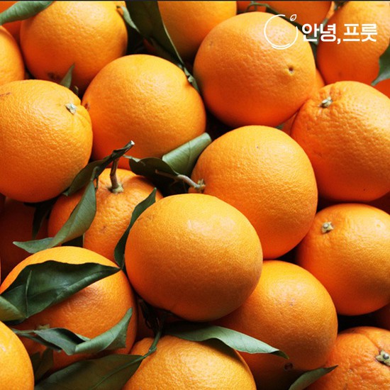 가성비갑 안녕프룻 블랙라벨 오렌지 대과 240g내외 72과, 없음, 상세설명 참조 추천해요 가성비갑 안녕프룻 블랙라벨 오렌지 대과 240g내외 72과, 없음, 상세설명 참조 추천해요