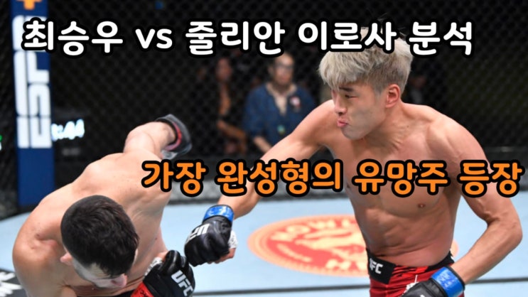최승우 vs 줄리안 이로사 분석(더 위즐) 최승우 vs 줄리안 이로사 분석(더 위즐)
