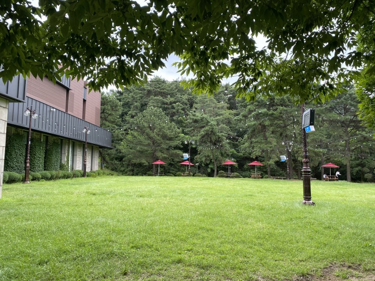  서울대교수회관 7월 웨딩현장