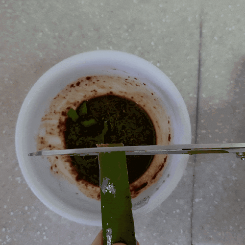  초보주부의 초초초초간단 간장 양념장 만들기