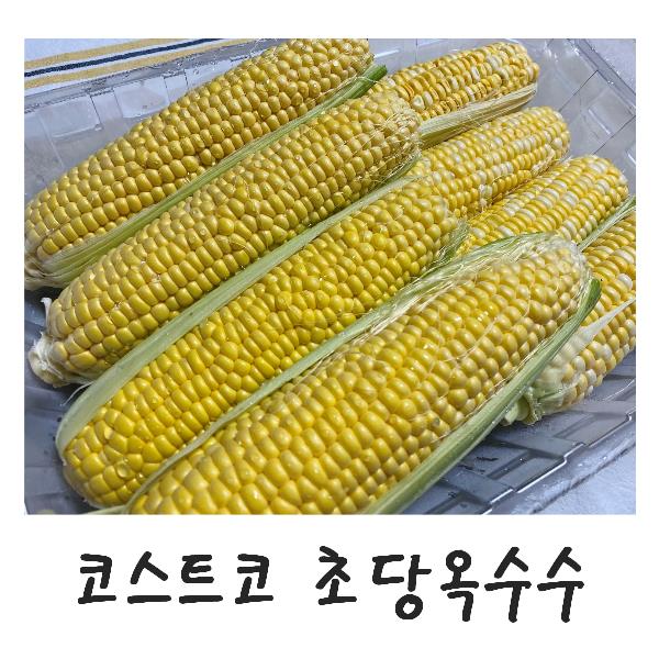  코스트코 초당옥수수 얼마나 맛있길래? (가격정보&맛있게 먹는방법 3가지)
