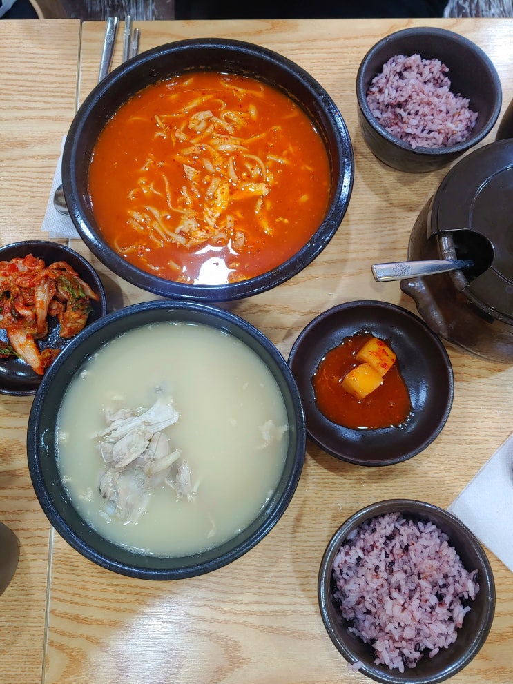  광화문 닭곰탕 숨은 맛집 발견