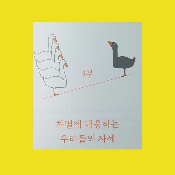  차별의 재발견, 선량한 차별주의자, 줄거리