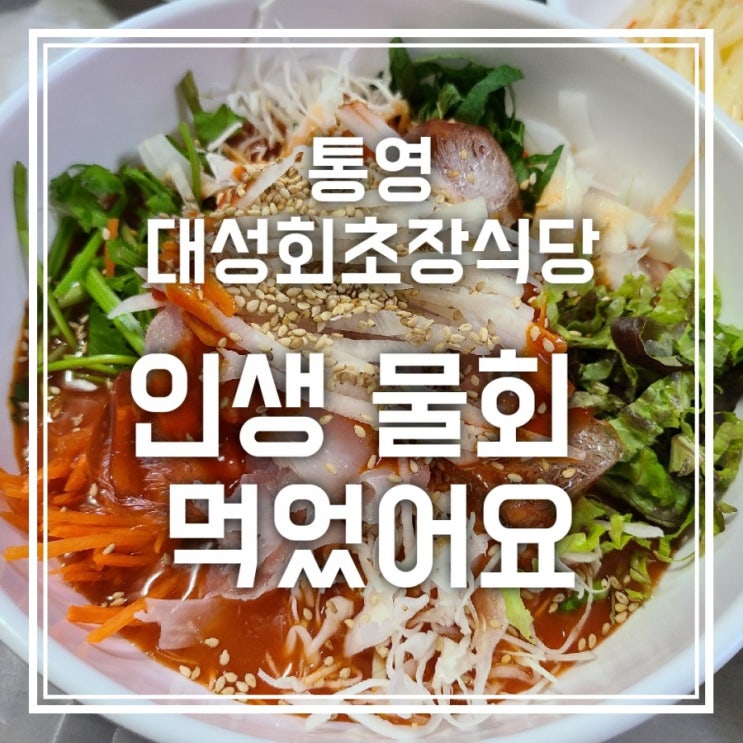 대성회초장식당 통영 물회맛집에서 인생 물회 먹었어요