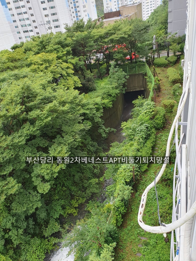  부산 울산 양산비둘기퇴치청소 부산 당리 동원2차베네스트 비둘기청소후망설치~해피홈케어