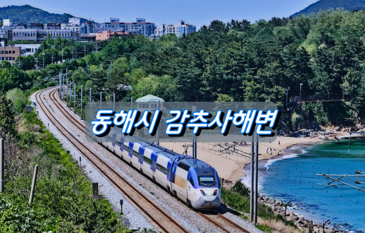 동해시 가볼만한 곳, 아담하고 조용한 감추사해변