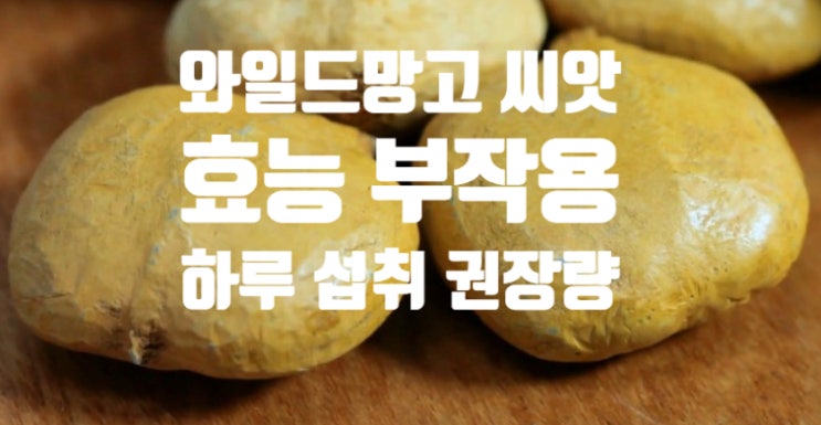 다이어트에 좋은 와일드망고 씨앗 효능 (ft. 부작용 일일 하루 섭취 권장량) 분말 스파클링 만들기