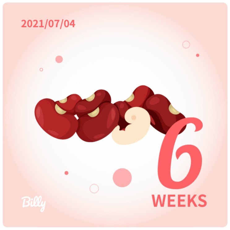 [임신 6주차] 입덧 너 이자식아 !