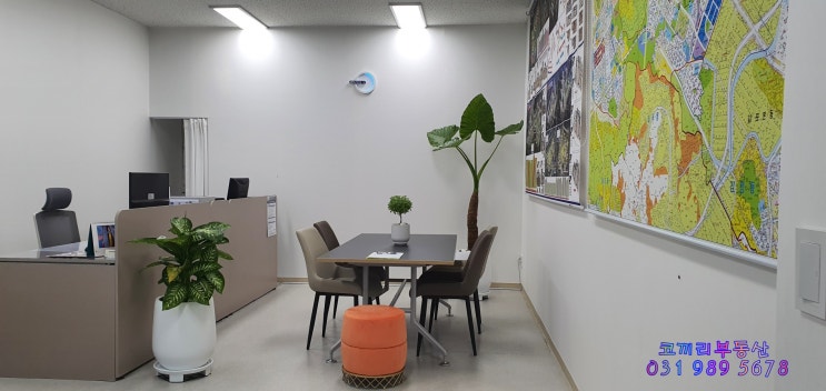 마산동 코끼리부동산 마산동 코끼리부동산
