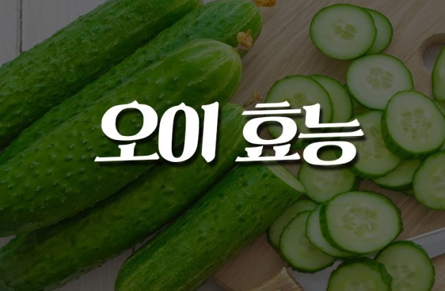  오이 효능