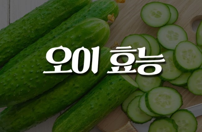 오이 효능