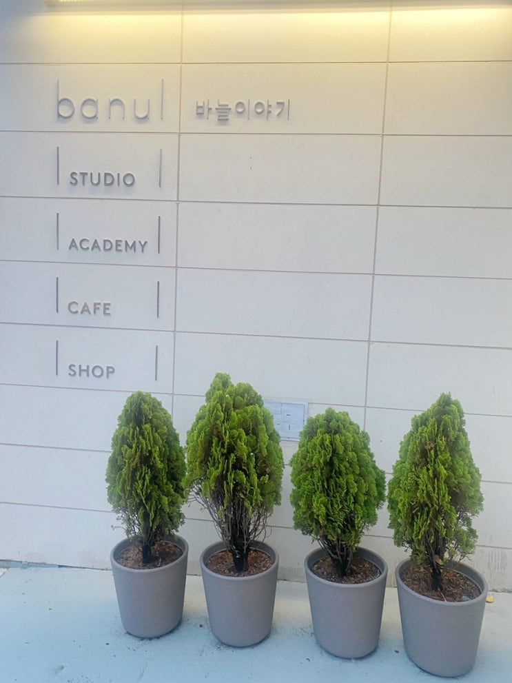  집콕 취미생활 추천, 뜨개질 전문 쇼핑몰 바늘 이야기 연희점 방문기