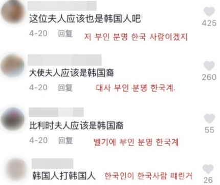  주한 벨기에 대사 부인 폭행 사건
