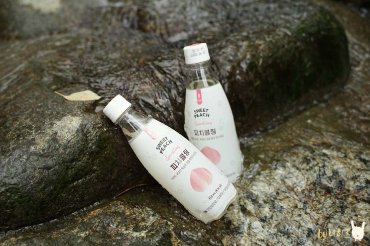  선별샵 프레딧 탄산수 & 디저트 프리배송