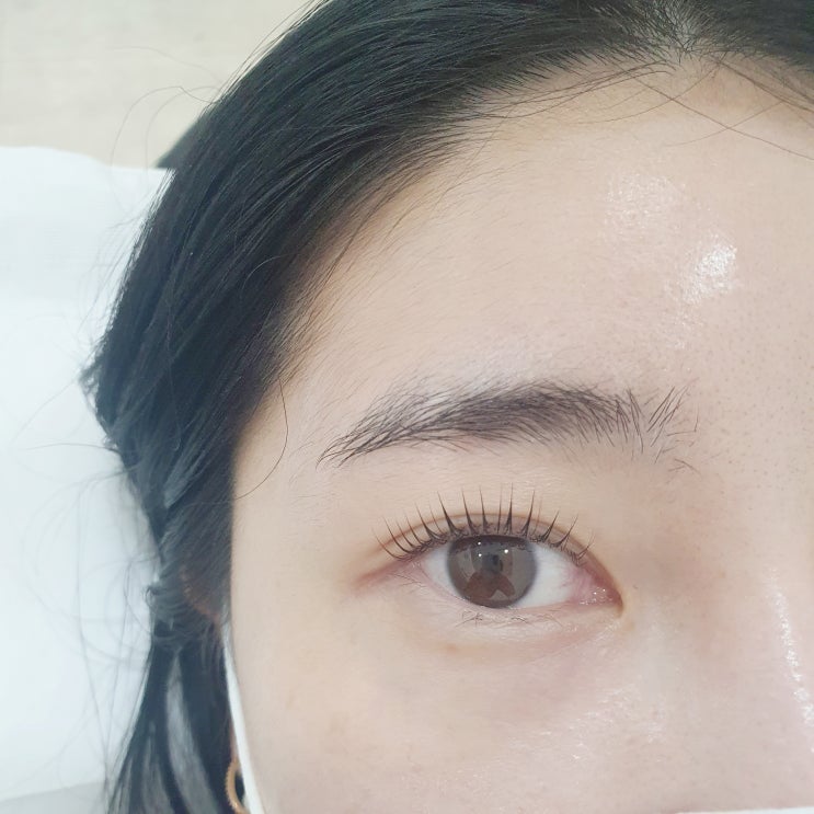 서울대입구 속눈썹 비마이래쉬 속눈썹펌 진작 할 걸 !