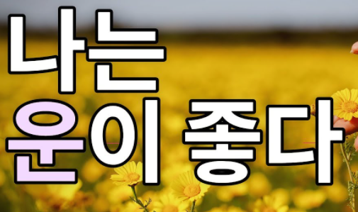 좋은 운, 나쁜 운 좋은 운, 나쁜 운