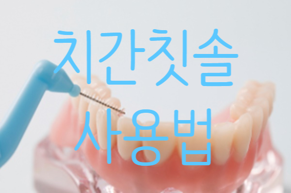  치간칫솔의 올바른 사용법