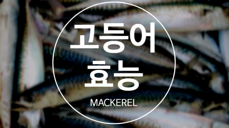  고등어효능, 풍부한 오메가3