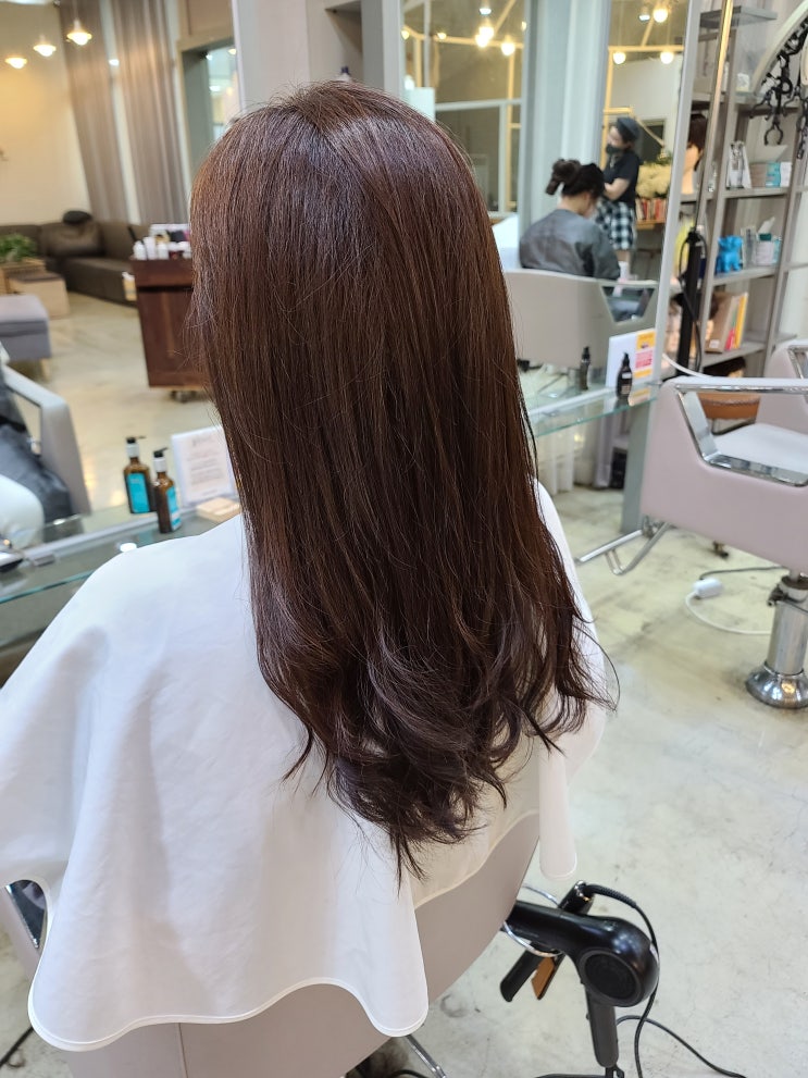  세종시 미용실 종촌동 예빈헤어 시크릿점 뿌리염색