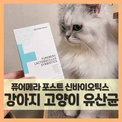  강아지 유산균 퓨어메라 포스트 신바이오틱스, 프리박에 소화효소까지!