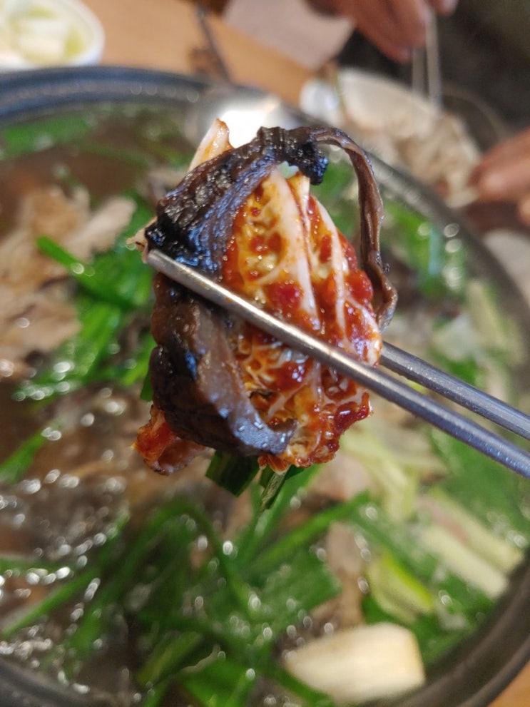  광주 풍암동 맛집 풍암능이버섯백숙
