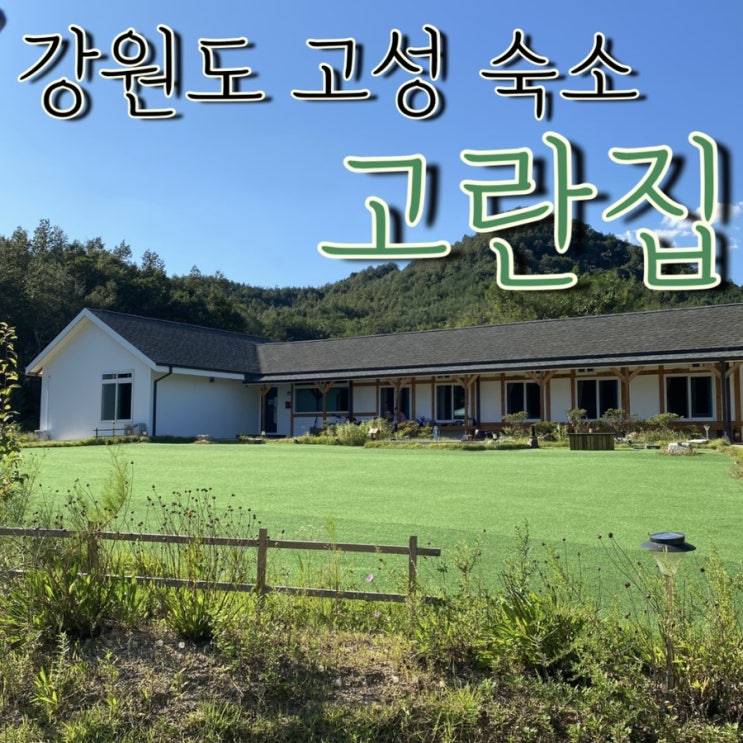  고란집, 강원도 고성 민박 / 힐링 숙소 후기 1편 낮의 고란집