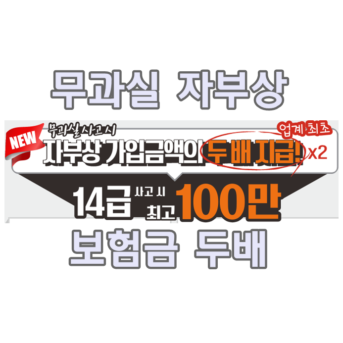  무과실사고 차대차 자부상14급 두배 100만원