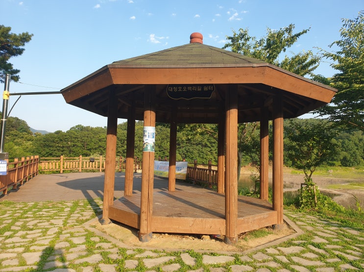  대전 한적한 대청호 드라이브 코스 오백리길 쉼터/주산동 전망대/오백리길 4구간 호반낭만길/ 소나무 숲