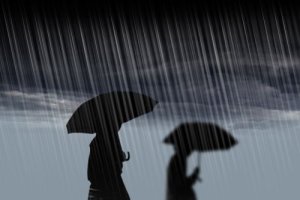 장마 - 조영수 장마 - 조영수