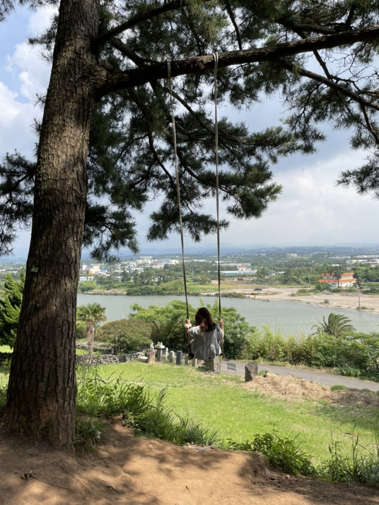  제주  "수산봉 그네"