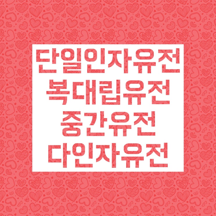 단일인자유전, 복대립유전, 중간유전, 다인자유전 기초 개념 정리! 단일인자유전, 복대립유전, 중간유전, 다인자유전 기초 개념 정리!