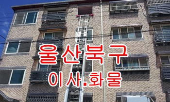 울산북구용달 모화 불국사 운송. 울산북구용달 모화 불국사 운송.