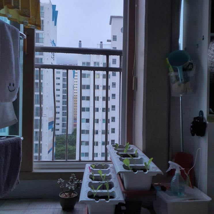  7월 8일의 일상 건망증아 건망증아 메모를 두번씩하자
