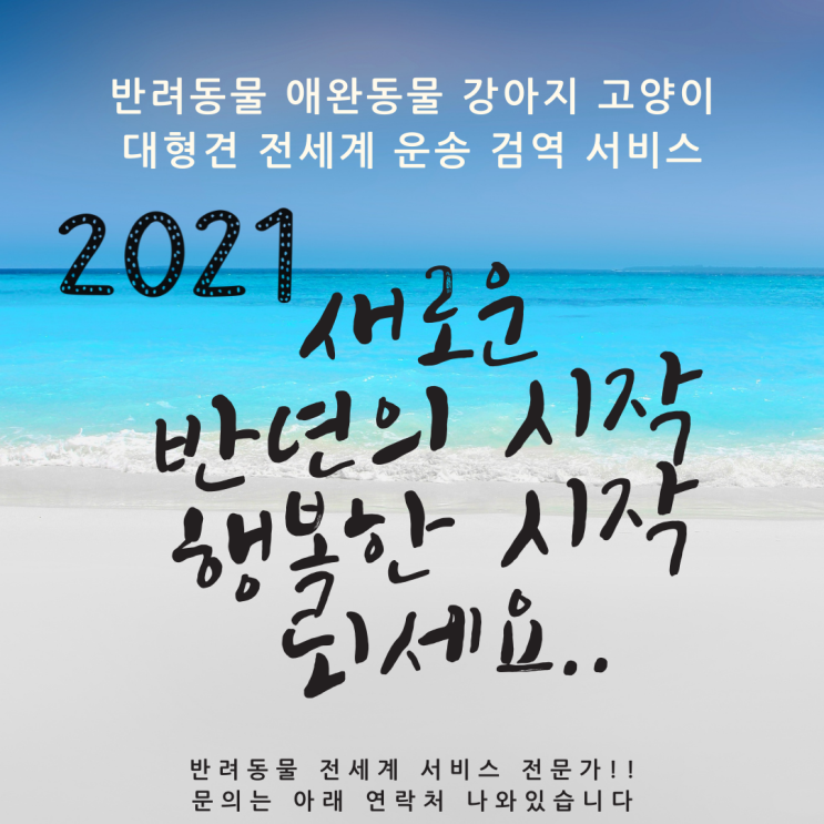  해외에서 한국으로  강아지입국  강아지검역 계류장 항체검사 통관 픽업서비스 [인천영종도계류]