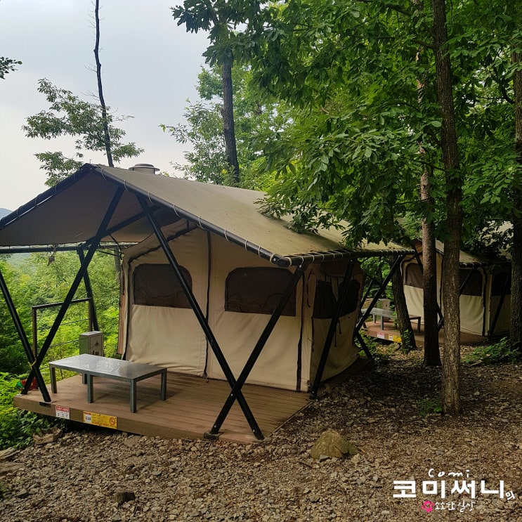 [경기도 의왕] 의왕 바라산 자연휴양림 캠핑 다녀왔어요 (A 야영장 야영데크 고정식 텐트)