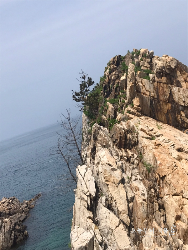  화진포가는 길에 들린 백섬해상전망대