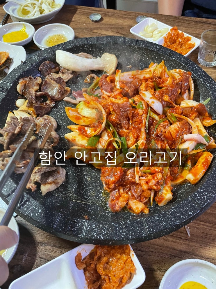  함안 맛집 칠원 안고집 오리고기 복날추천 창원 맛집