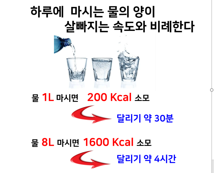  허벌라이프 티세트 / 허벌티 오리지널 102g + 엔알지티 60g