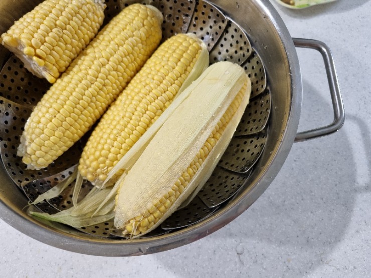 여름의 맛, 초당 옥수수를 만났다. (초당옥수수 삶는 법, 맛있게 먹는 방법! ) 여름의 맛, 초당 옥수수를 만났다. (초당옥수수 삶는 법, 맛있게 먹는 방법! )