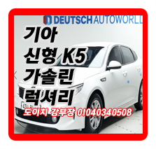  기아 신형 K5 2.0 가솔린 럭셔리 MX