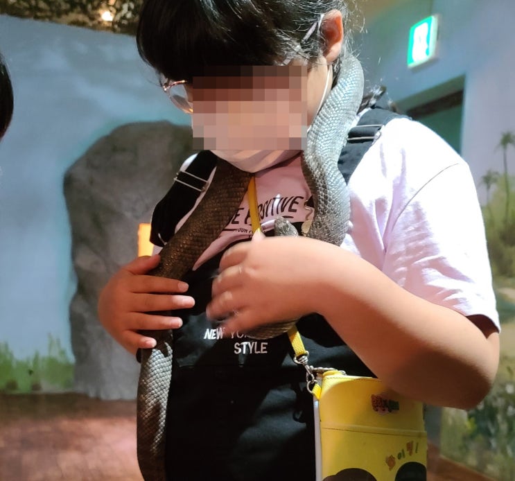  파주 헤이리 마을 체험 사파리체험테마파크에서 즐겨요~ #내돈내산 #파주사파리 #헤이리체험 #파주여행 #헤이리여행 #파주체험 #어린이체험여행 #사파리체험테마파크