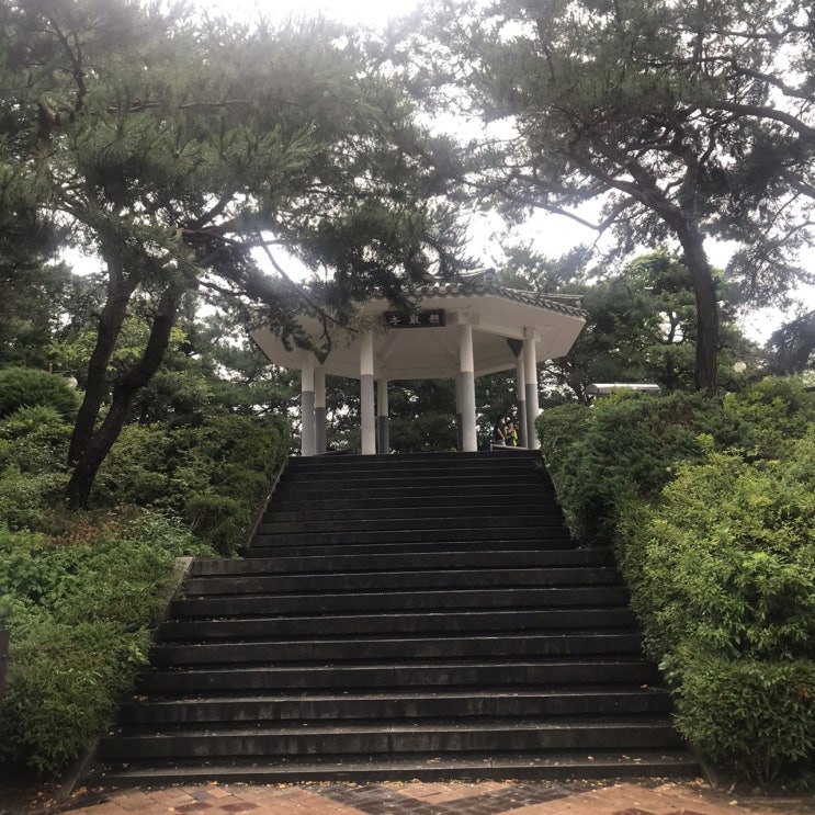  비 오는 날 대전 청주 근교 드라이브 | 대청댐 전망대