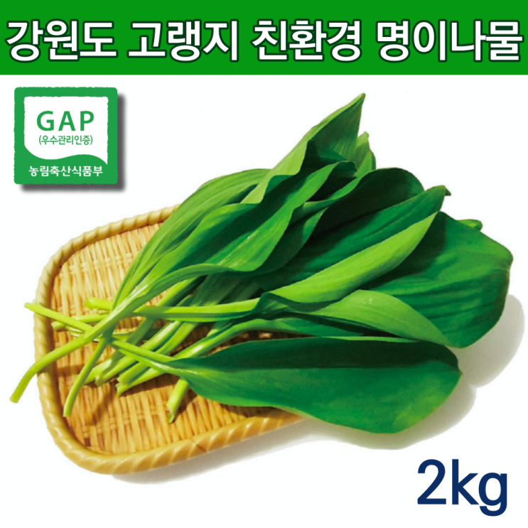 후기가 정말 좋은 친환경 자연산 명이나물 산마늘잎 홍천명이나물 생명이나물 명의나물 줄기명이 산마늘 명이나물 2kg 주문 생잎 강원도 홍천명이 영양산나물 4월 제철나물 야생산나물 2