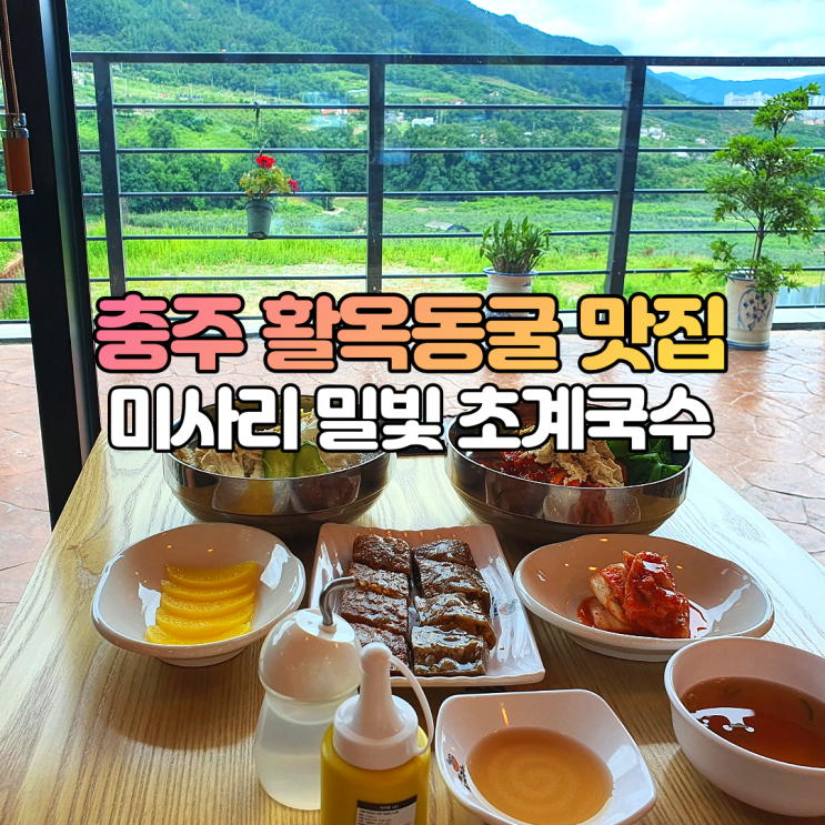  충주 활옥동굴 맛집 미사리밀빛 초계국수 닭칼국수