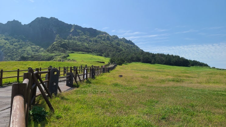  제주 성산일출봉 정상 등산 시간 입장료